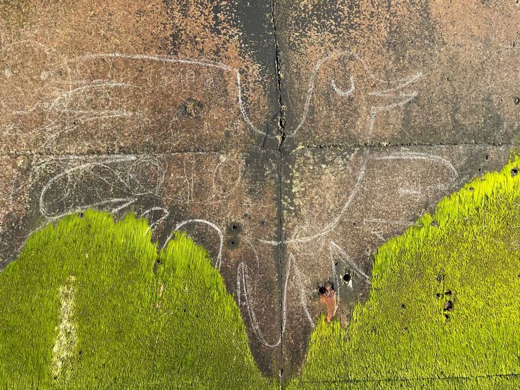 Bird drawn in chalk on a wall with green moss underneath